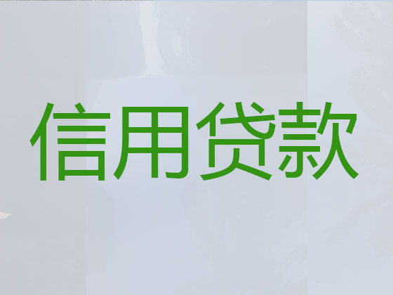 攀枝花贷款公司-银行信用贷款